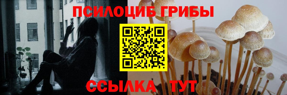 Новокузнецк  Галлюциногенные грибы GOLDEN TEACHER  Вход с VPN 